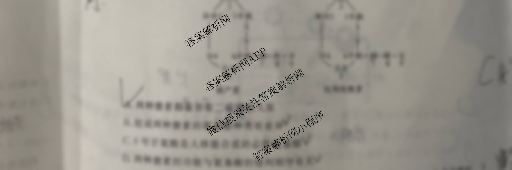 陕西省2025~2026第一学期12月质量检测高一(6192A)（含语文 地理 物理等）生物试题