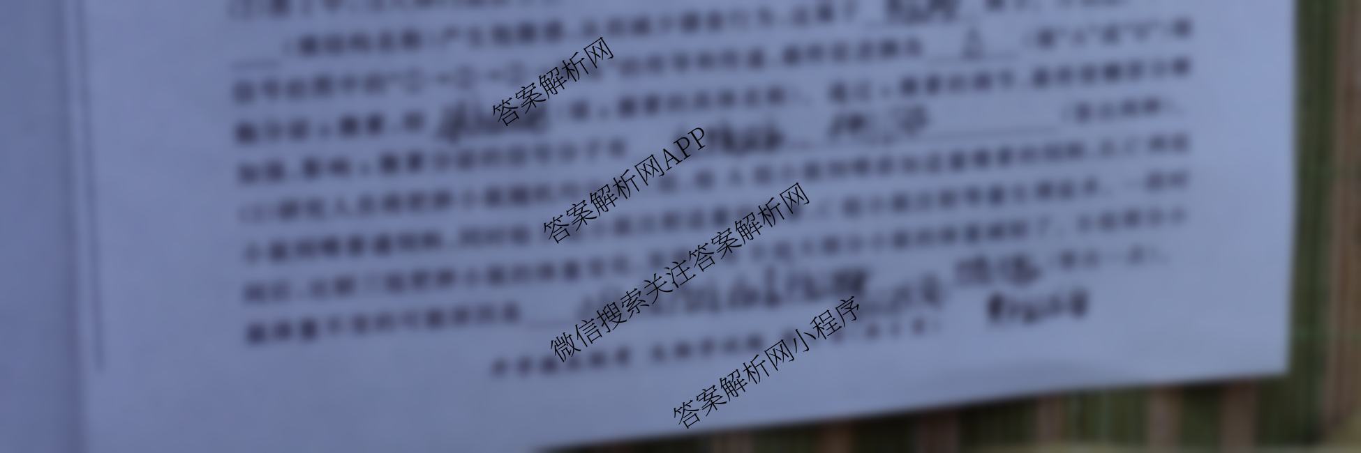 百师联盟2025届高三开学摸底联考各科答案及试卷（40科全）生物试题