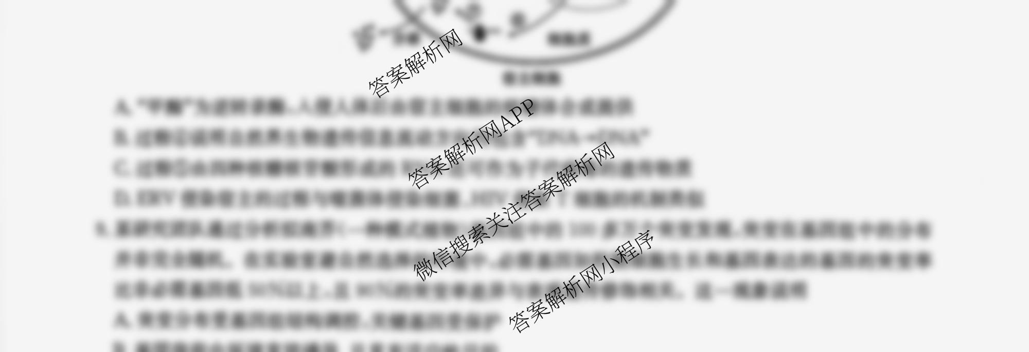 九师联盟2025~2026学年高三核心模拟卷(中)(三)3（含化学(C)、地理(A1)、政治(D4)等）生物试题
