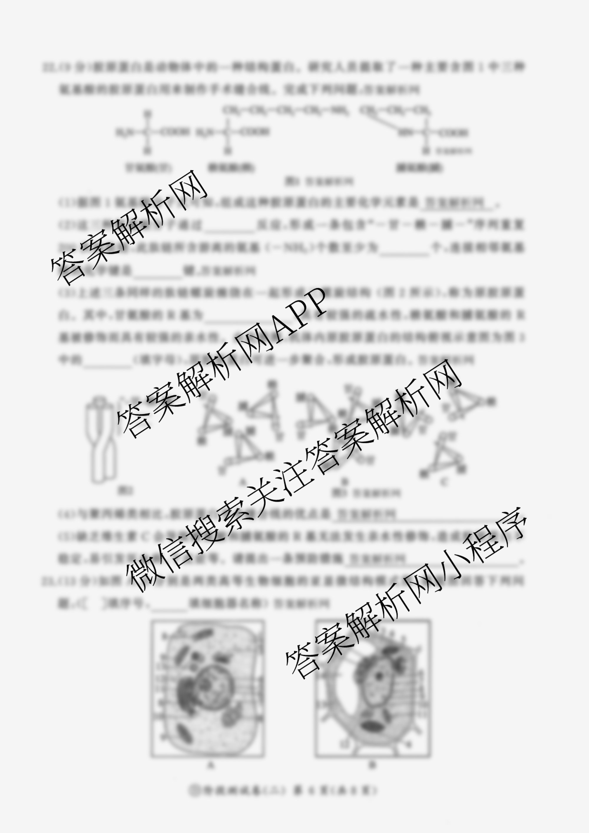 百师联盟2025-2026学年高一上学期阶段测试卷(二)2各科答案及试卷(21科全)生物试题 百师联盟2025-2026学年高一上学期阶段测试卷(二)2各科答案及试卷(21科全)生物试题