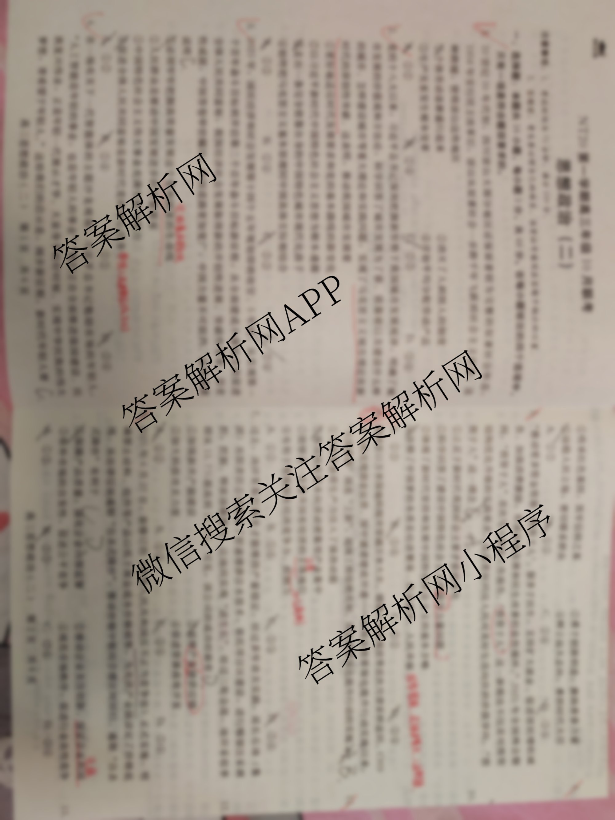 2025-2026学年NT20第一学期高三年级10月联考(二)（9科全）政治试题