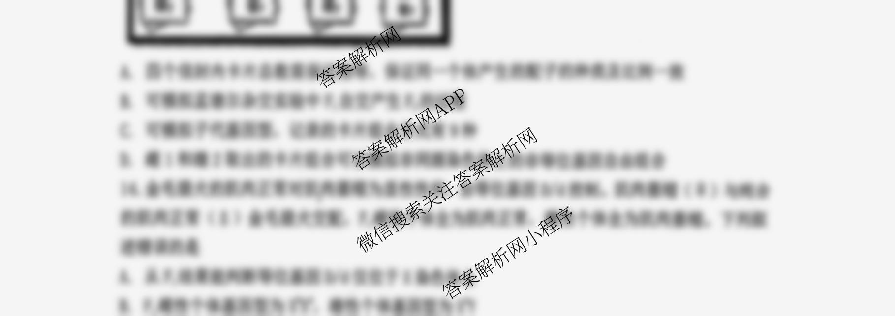 辽宁省渤海大学附属高级中学2025-2026学年度第一学期第一次阶段性考试高三试卷及答案汇总（9科全）生物试题