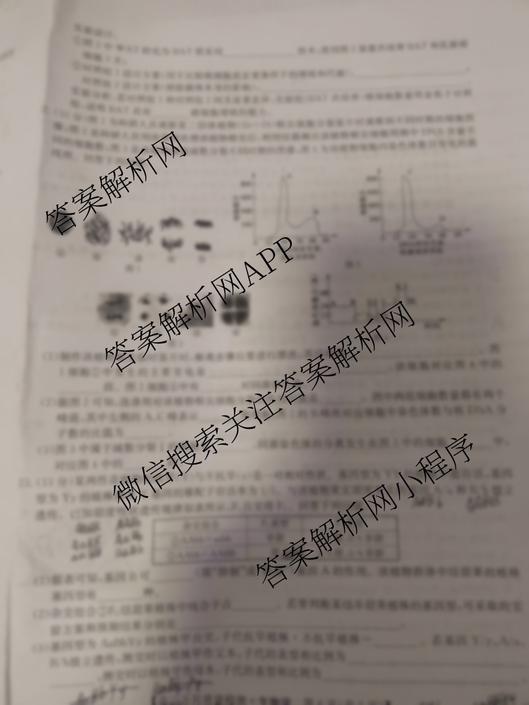 九师联盟2026届高三9月质量检测巩固卷(G)各科答案及试卷（含物理(N-G)、数学(X-G)、历史(H-G)等42份）生物试题