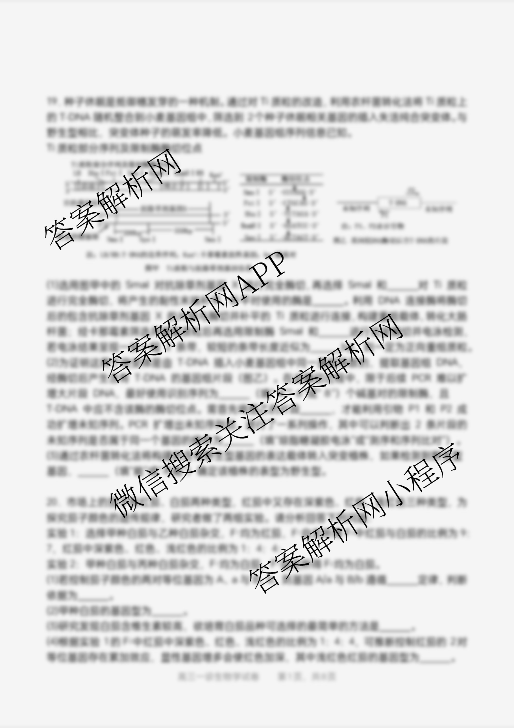 字节精准教育联盟MYS高中2023级第一次诊断性考试模拟试题各科答案及试卷(已更新日语、数学、政治等10份)生物试题 字节精准教育联盟MYS高中2023级第一次诊断性考试模拟试题各科答案及试卷(已更新日语、数学、政治等10份)生物试题
