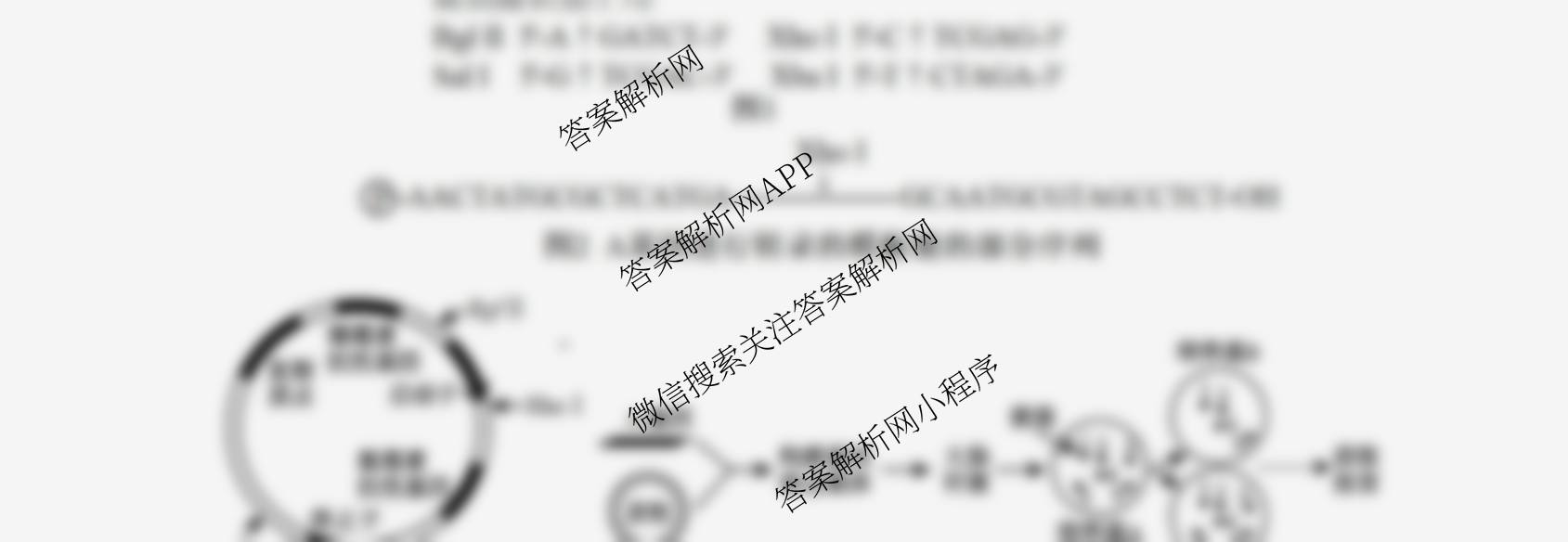 射洪中学高2023级高三上期期中考试试卷及答案汇总(已更新历史、地理、物理等9份)生物试题