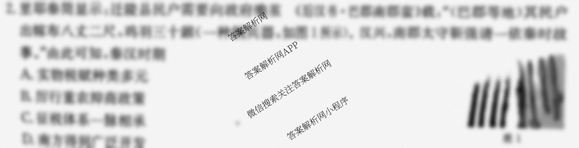 广西2024-2025学年上学期高三11月联考(11.20-21)（含化学 政治 语文等）历史试题