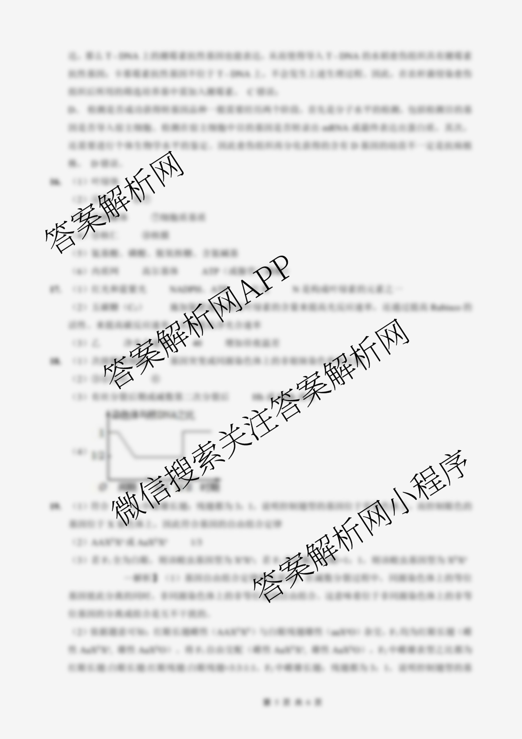重庆外国语学校2026届高三(上)10月月考(四)各科答案及试卷(9科全)生物答案 重庆外国语学校2026届高三(上)10月月考(四)各科答案及试卷(9科全)生物答案