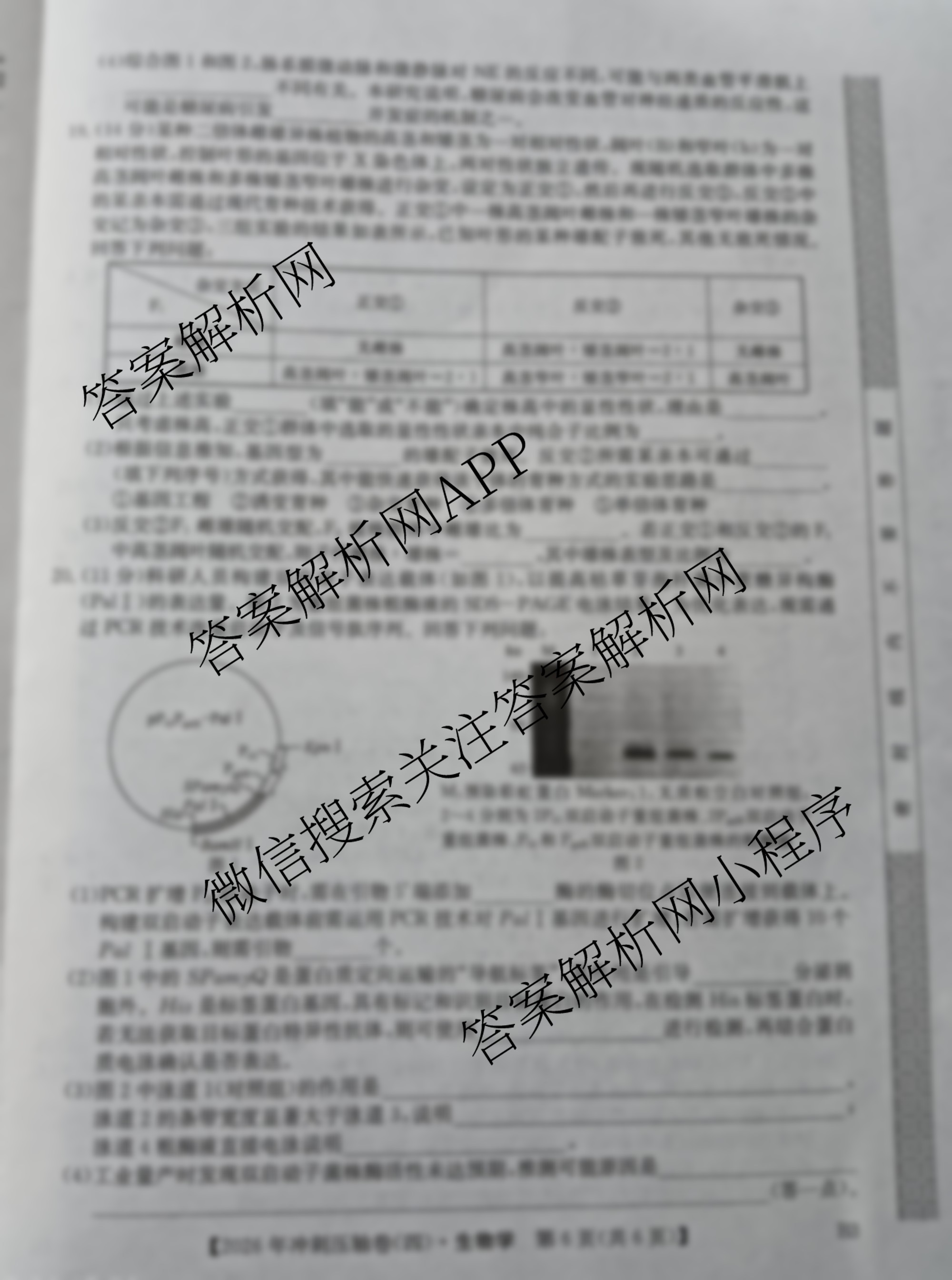 2026年全国高考冲刺压轴卷(四)4（含物理(AH) 数学 政治(湖北)等）生物试题