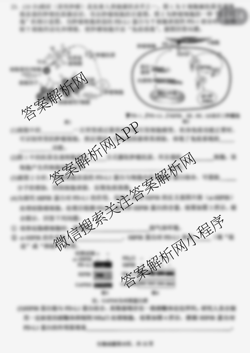 山东省实验中学2025届高三第二次模拟考试2025.06试卷及答案汇总（含地理 物理 语文等）生物试题