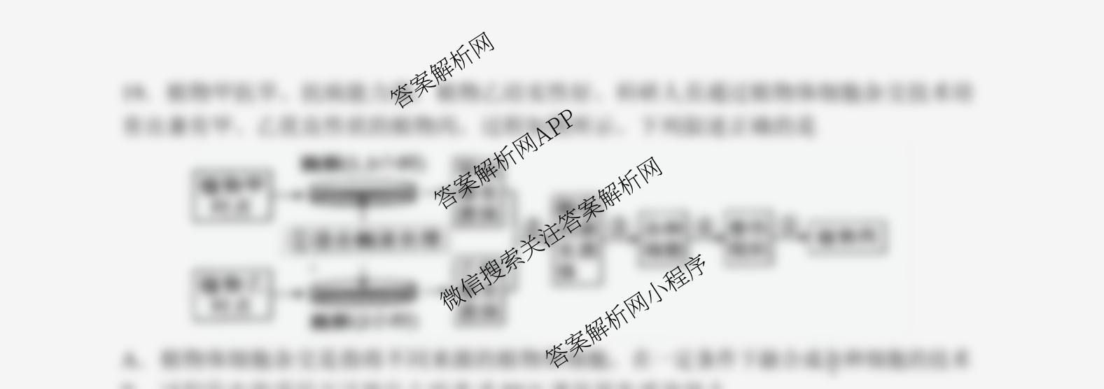 丹东市2024-2025学年度(下)期末教学质量监测高二试卷及答案汇总(已更新历史、物理、语文等9份)生物试题