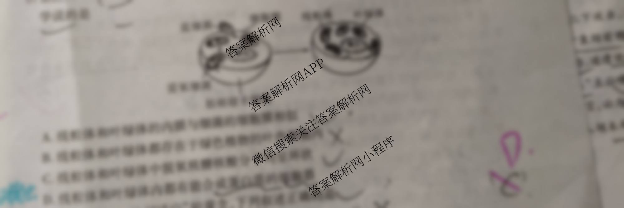 陕西省兴市2026届高三第一次模拟考试（含地理、政治、生物等）生物试题