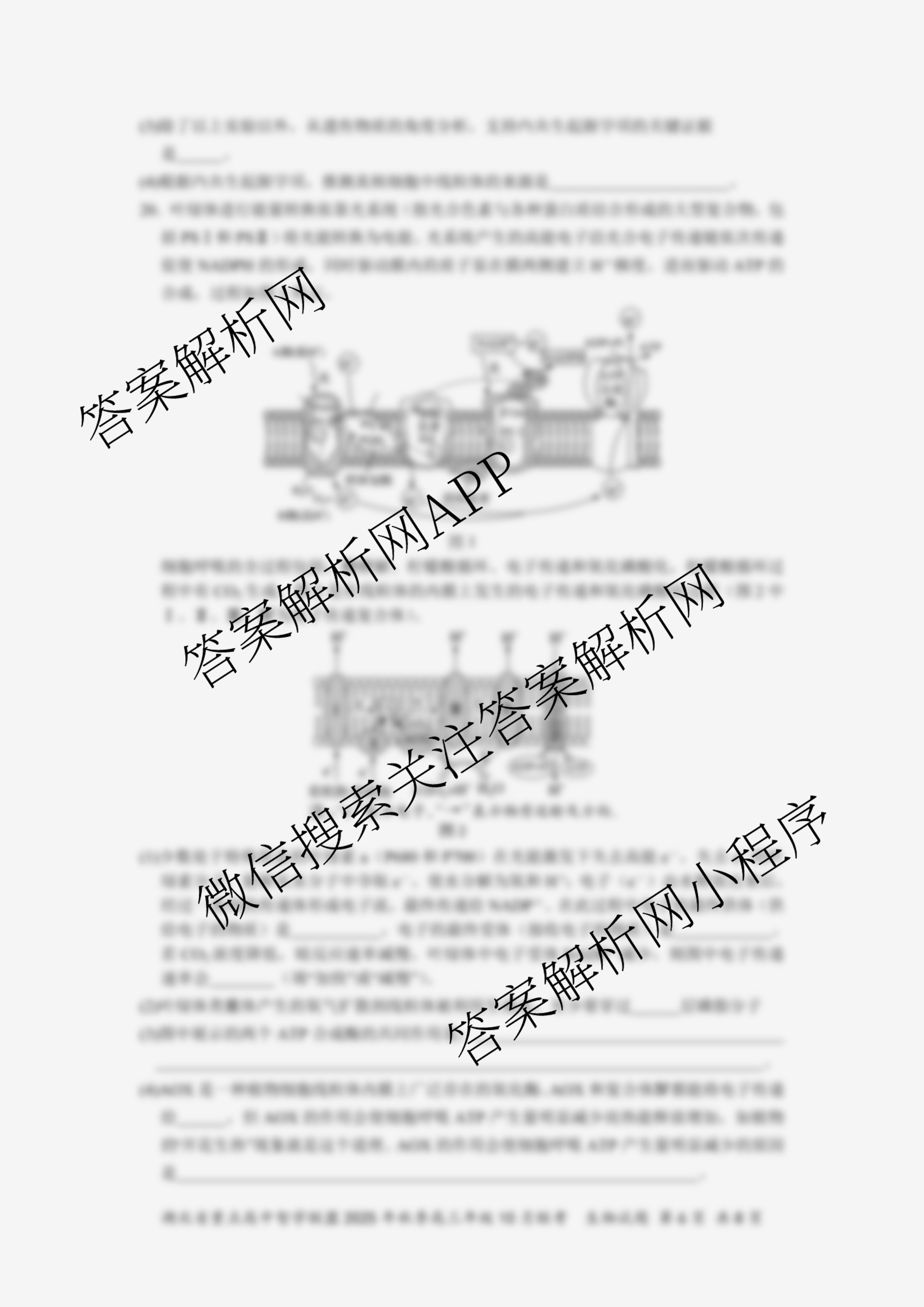 湖北省重点高中智学联盟2025年秋季高三年级10月联考各科答案及试卷（含化学、物理、英语等）生物试题