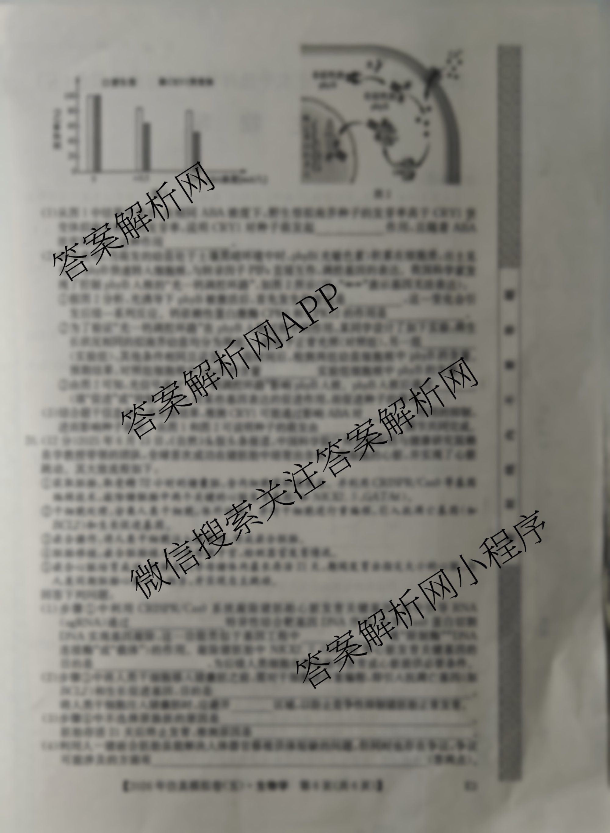 2026年全国高考仿真模拟卷(五)5（35科全）生物试题