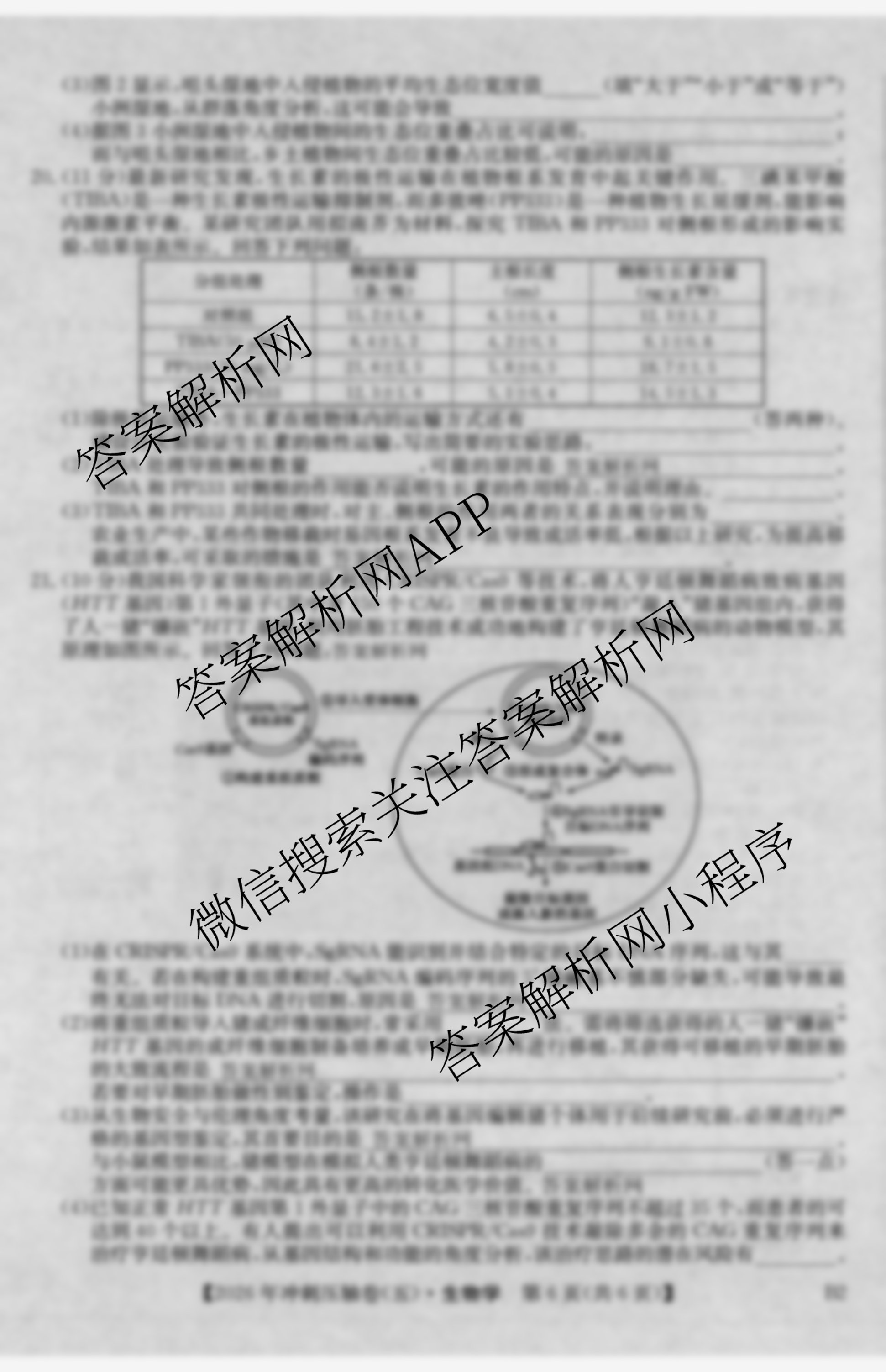 2026年全国高考冲刺压轴卷(五)5各科答案及试卷（含生物(B1) 地理(B3) 历史(河北)等）生物试题