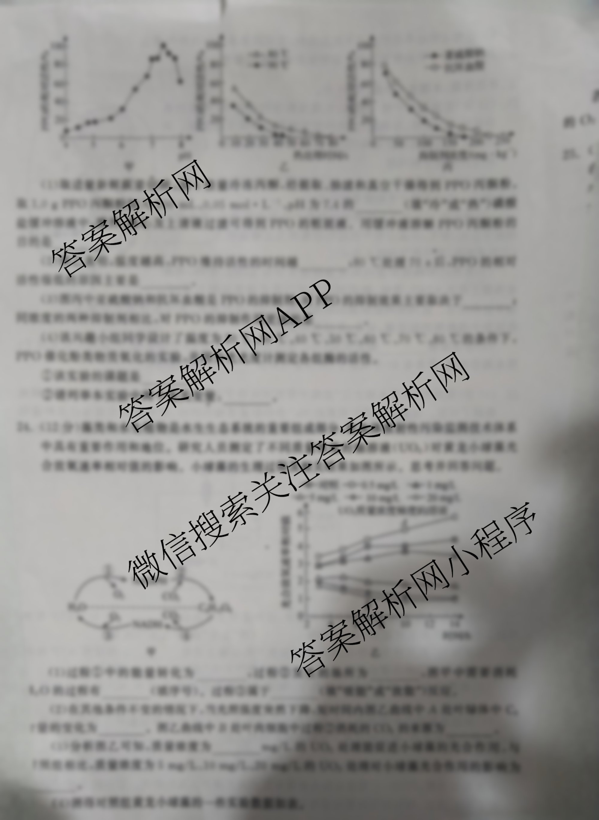 衡中同卷2025-2026学年度高三复滚动卷(一)1各科答案及试卷（含英语、数学、语文(B)等17份）生物试题