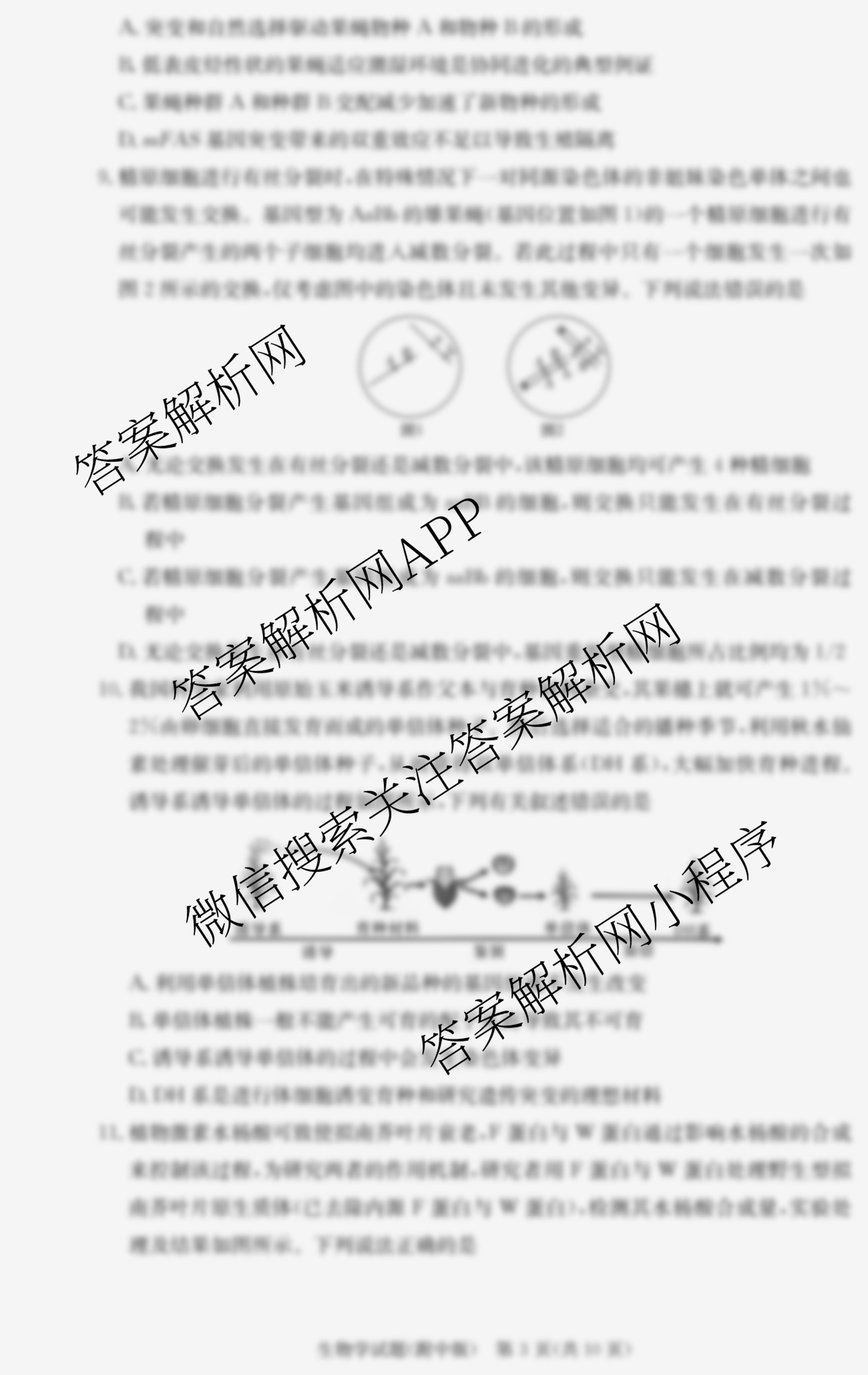 炎德英才大联考湖南师大附中2026届高三月考试卷(四)（含化学 历史 日语等10份）生物答案