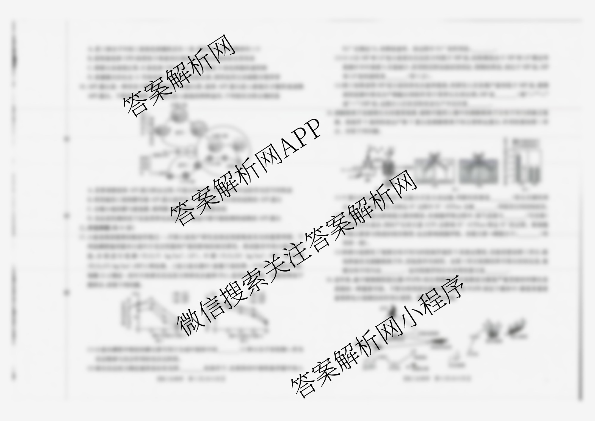 广西2026届高三10月考试(含英语、物理、语文等)生物试题 广西2026届高三10月考试(含英语、物理、语文等)生物试题