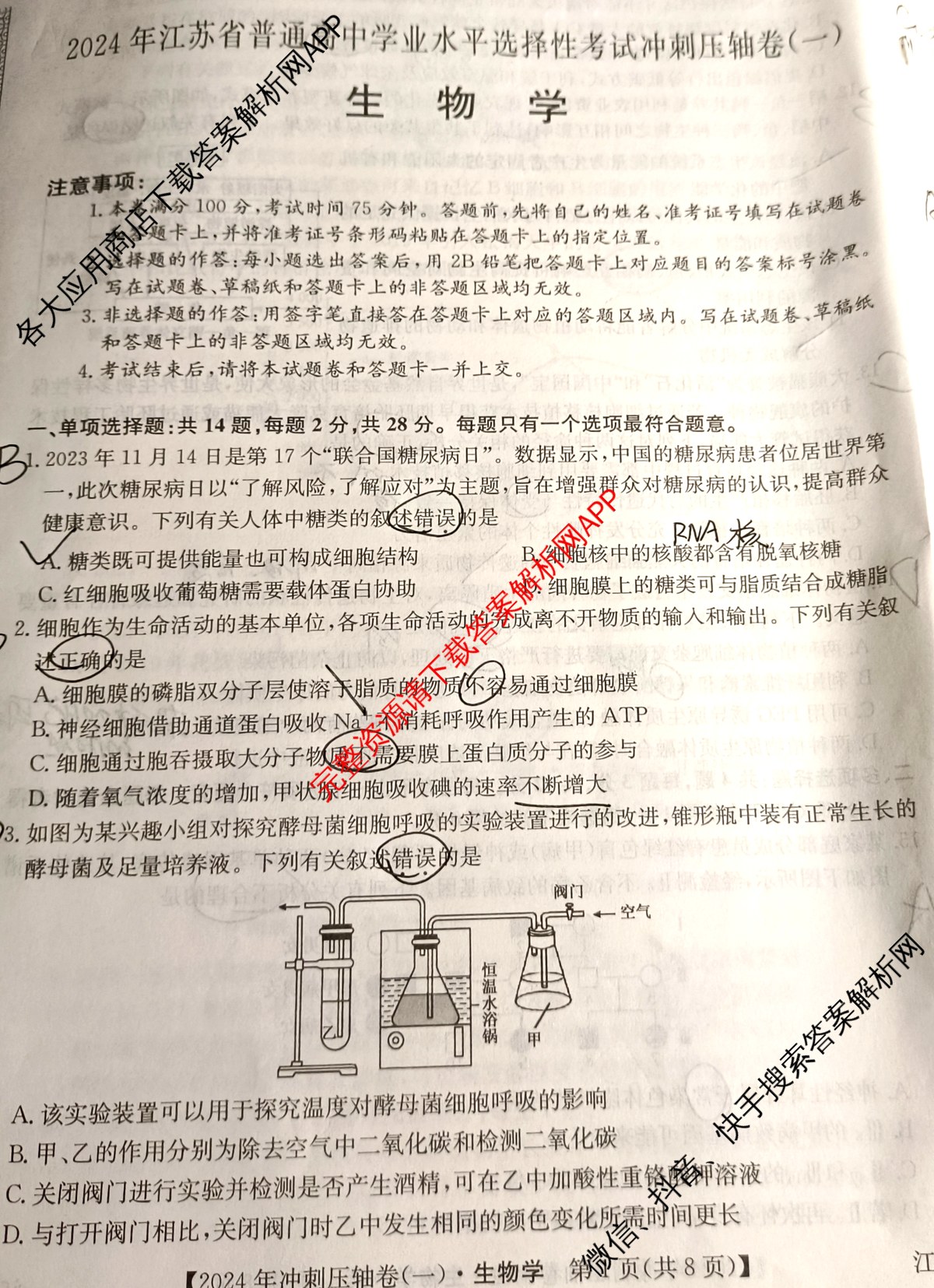 2024年江苏省普通高中学业水平选择性考试冲刺压轴卷(一)1生物(江苏)试题
