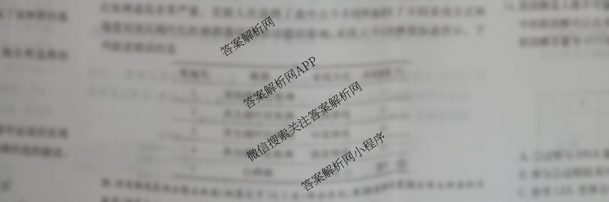 炎德英才大联考雅礼中学2026届高三月考试卷(四)试卷及答案汇总（含化学、英语、语文等）生物试题