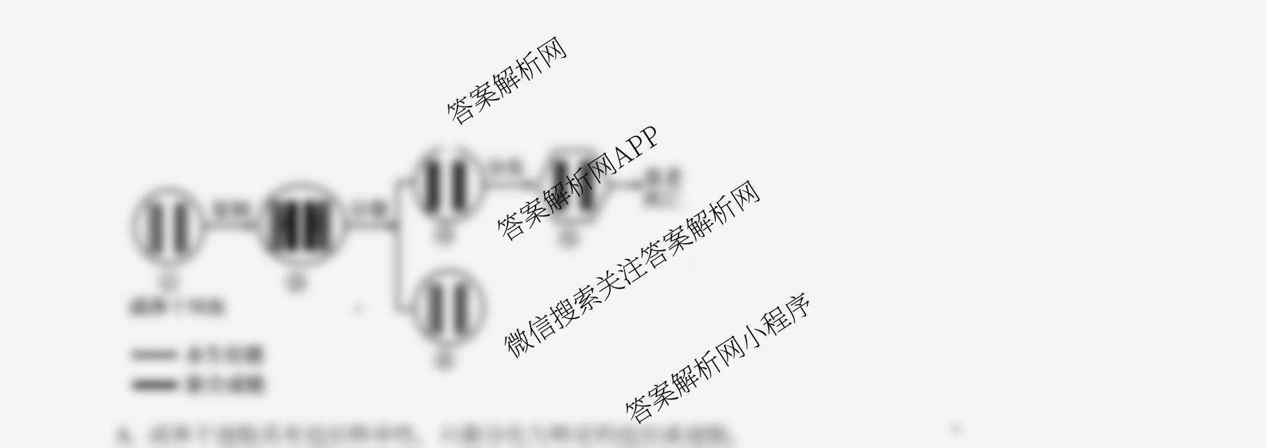 南开大学附属中学2026届上学期第一次阶段检测试卷及答案汇总（9科全）生物试题