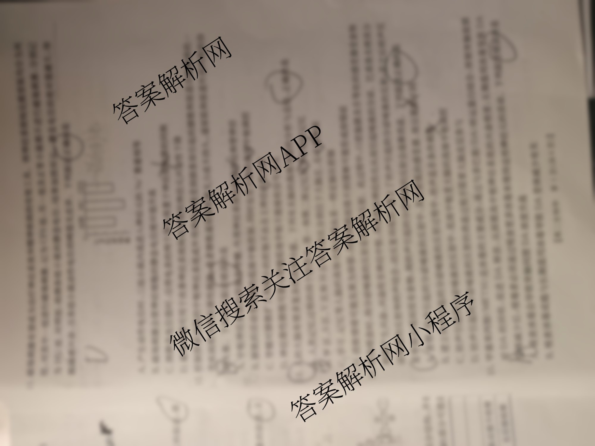陕西省2025-2026学年高二年级考试(10.9)各科答案及试卷: 含化学(B1) 英语 地理试卷解析生物试题