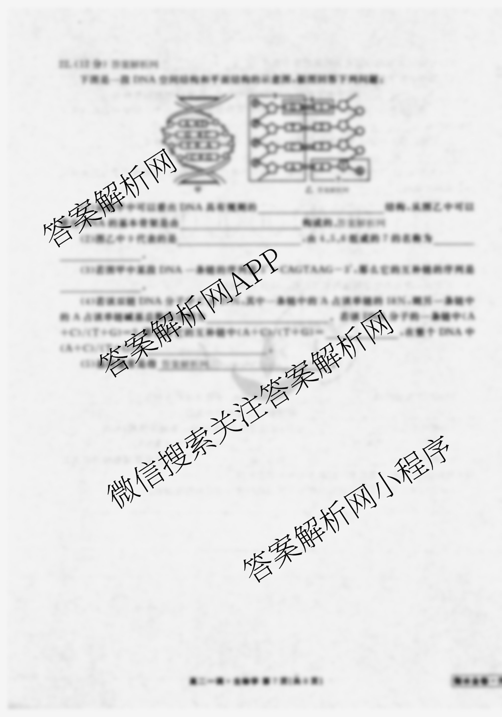 衡水金卷先享题月考卷2025-2026学年度上学期高二年级一调考试试卷及答案汇总（含物理、生物、数学(人教版)等）生物试题
