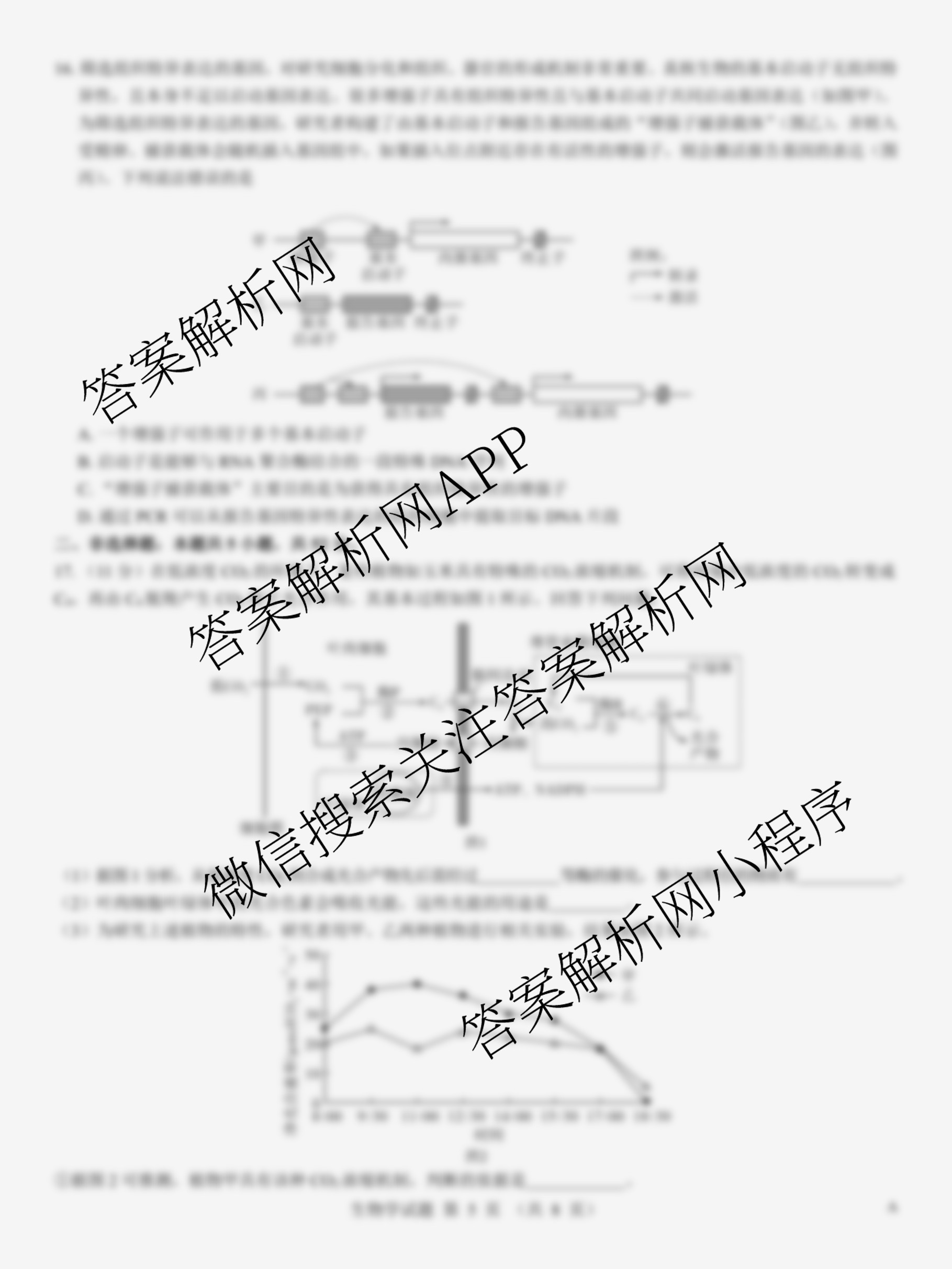 名校教研联盟2026届高考仿真模拟卷(样卷)试卷及答案汇总(11科全)生物试题 名校教研联盟2026届高考仿真模拟卷(样卷)试卷及答案汇总(11科全)生物试题