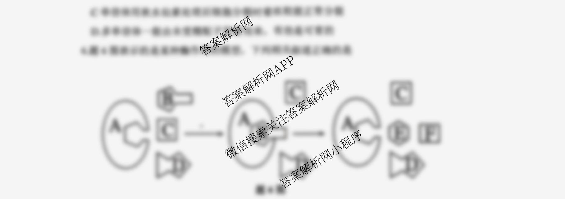 重庆大一联盟(稳昇高教育)高三(上)高2026届12月联考各科答案及试卷（含历史、英语、化学等）生物试题