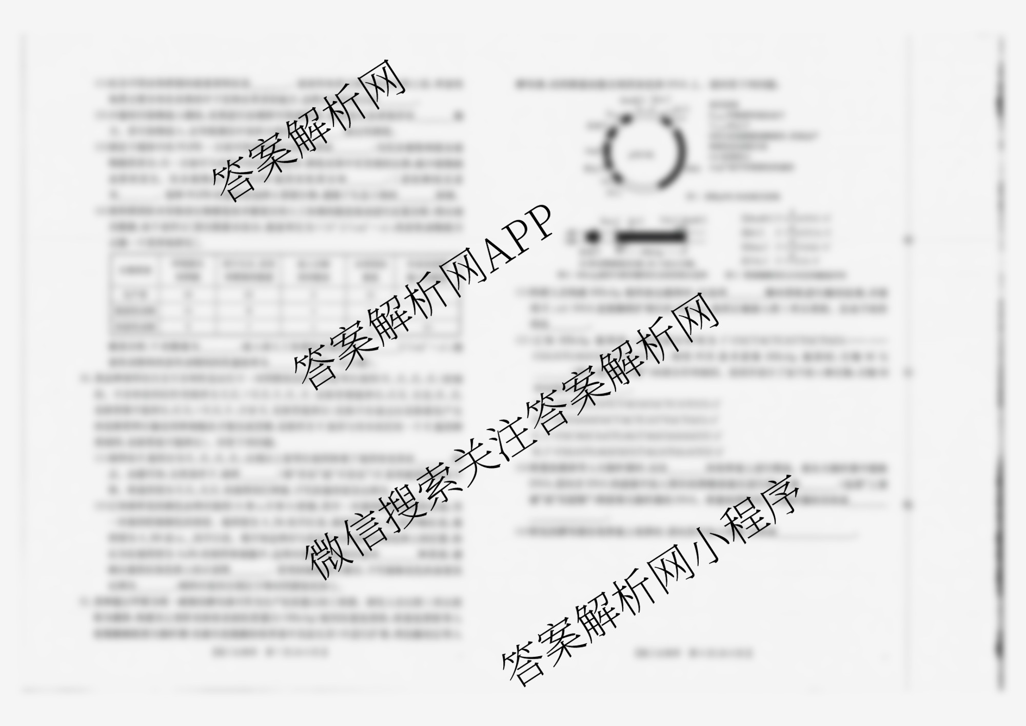 广西2026届高三10月考试(含英语、物理、语文等)生物试题 广西2026届高三10月考试(含英语、物理、语文等)生物试题