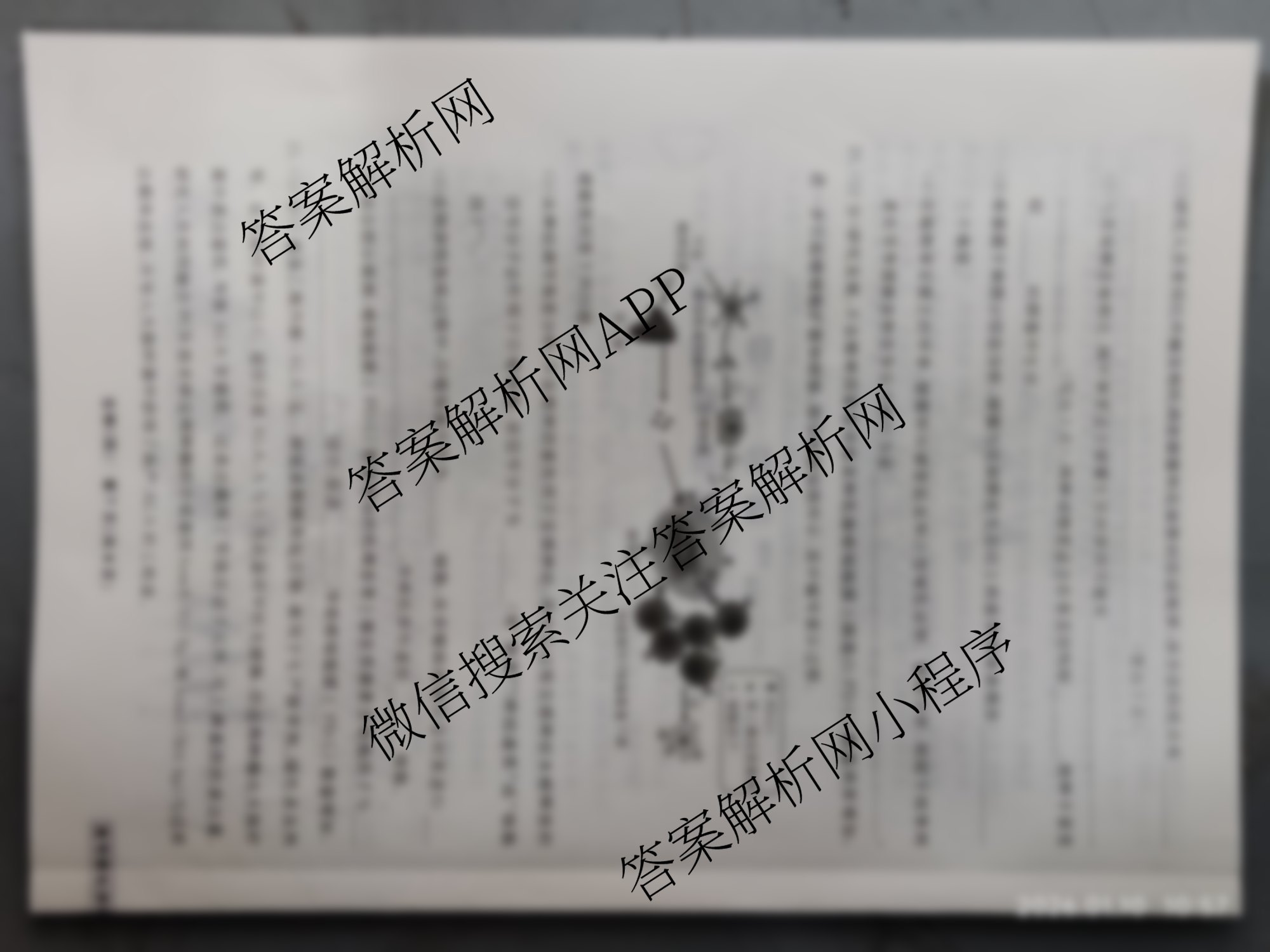 衡水名师卷高考模拟调研卷 2026年普通高等学校招生全国统一考试模拟试题(四)4试卷及答案汇总（含物理 政治 化学等）生物试题
