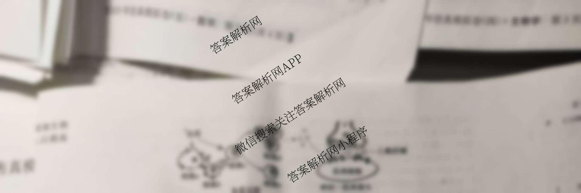 2026年全国高考仿真模拟卷(一)1试卷及答案汇总（含语文、化学(E2)、化学(广西)等）生物试题