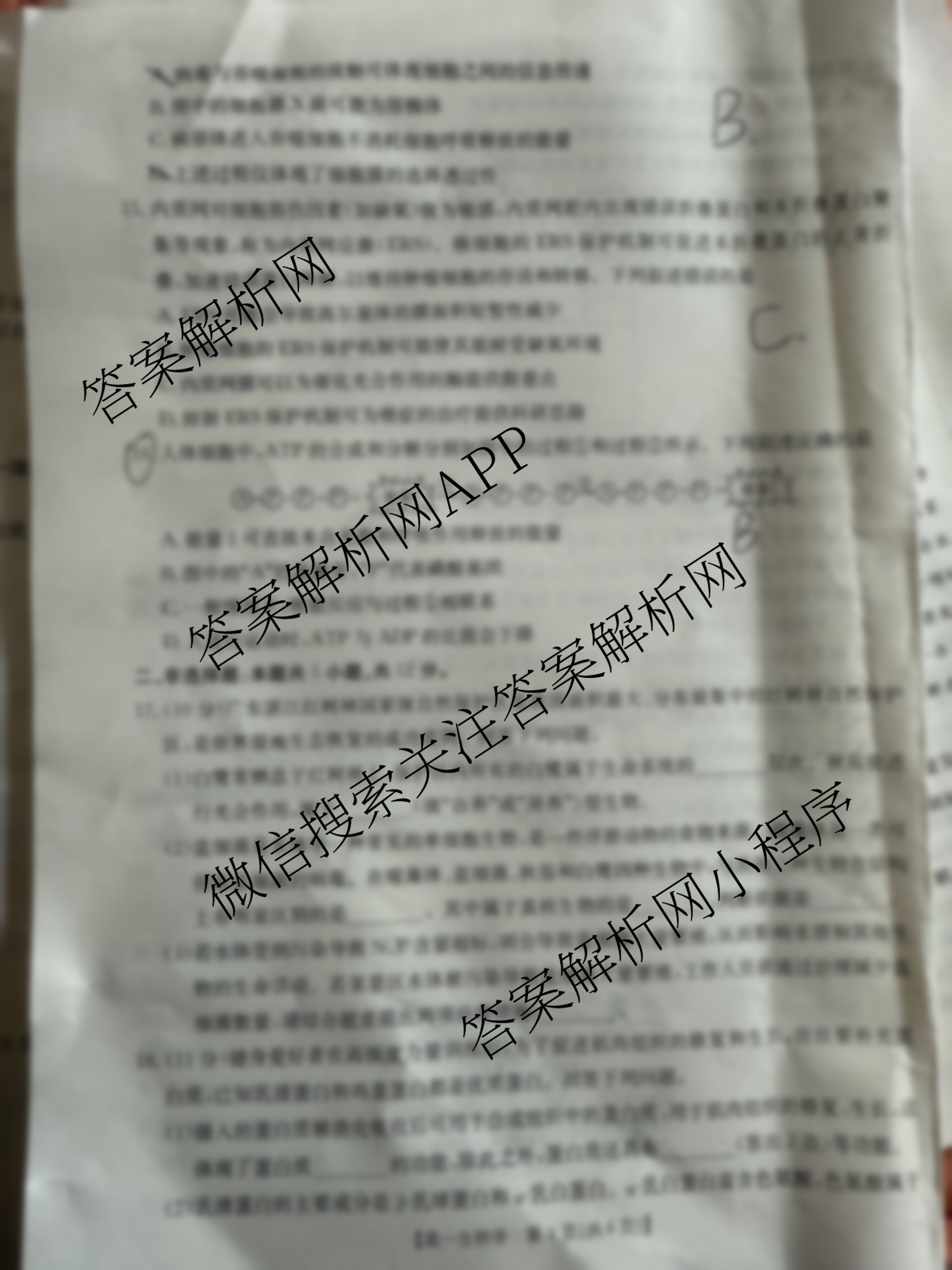 2025-2026学年三晋联盟山西名校高一12月联合考试（9科全）生物试题