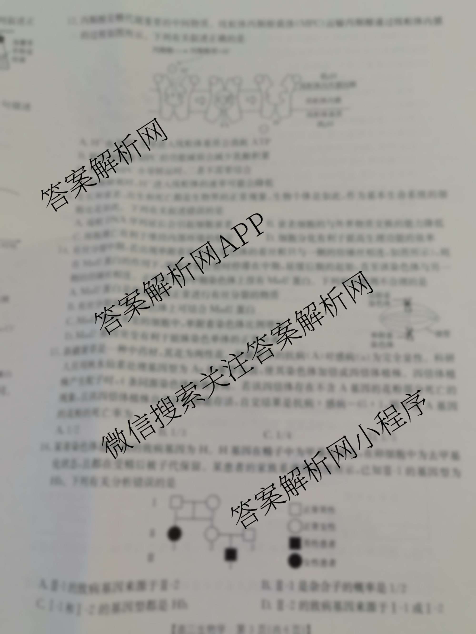 陕西2026届高三年级10月联考(10.30)试卷及答案汇总: 含数学 历史 物理试卷解析生物试题 陕西2026届高三年级10月联考(10.30)试卷及答案汇总: 含数学 历史 物理试卷解析生物试题