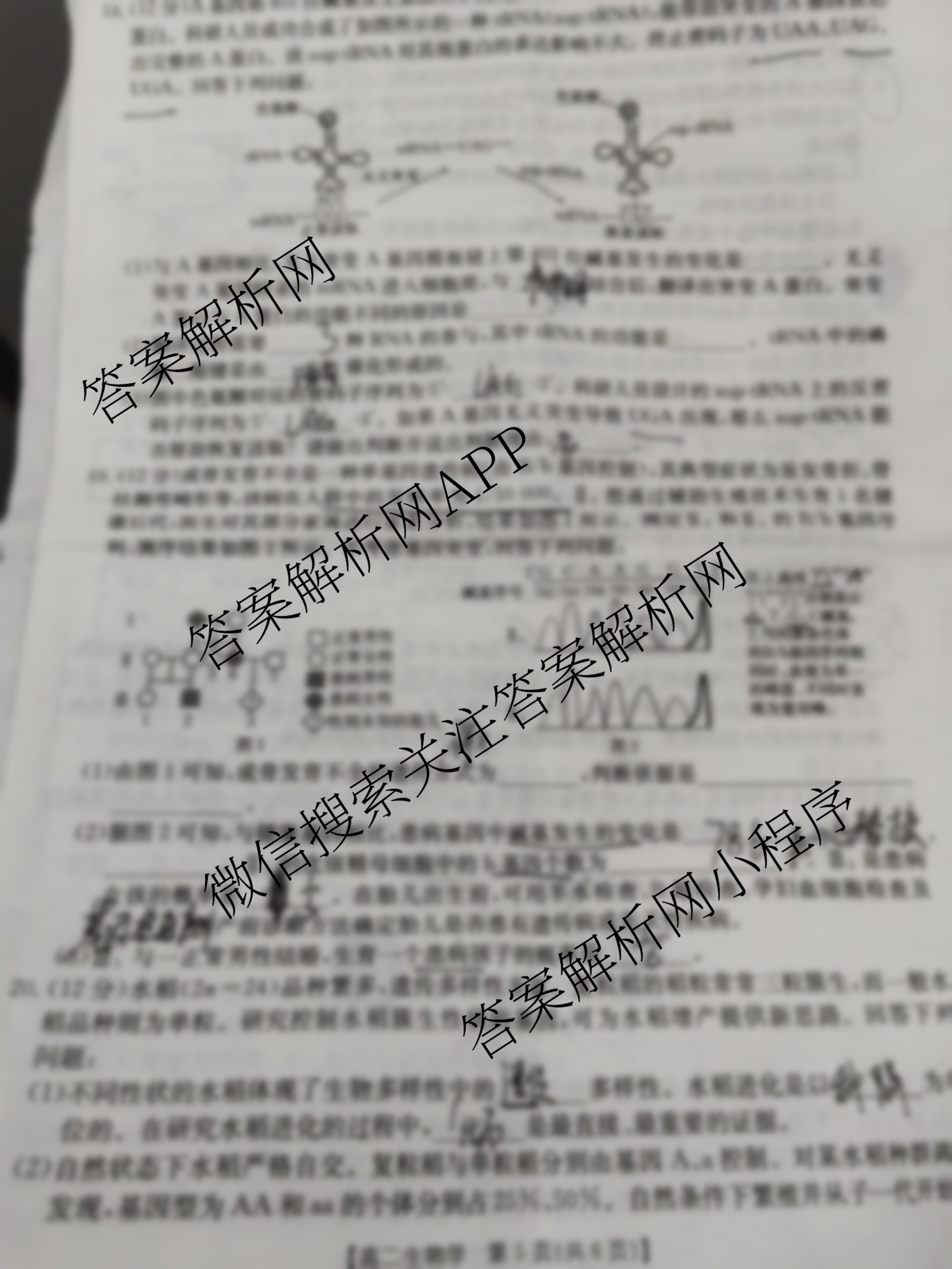 江西省2025-2026学年高二10月联考(10.10)各科答案及试卷（含语文 英语 数学等）生物试题
