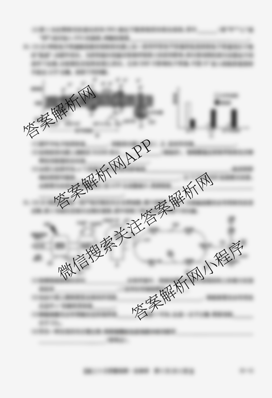 九师联盟2026届高三9月质量检测巩固卷(G)各科答案及试卷（含物理(N-G)、数学(X-G)、历史(H-G)等42份）生物试题