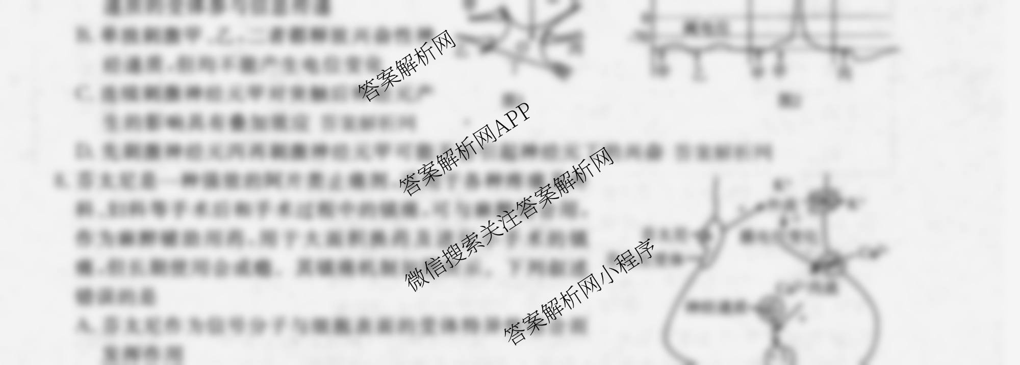 衡水金卷先享题月考卷2025-2026学年度上学期高二年级二调考试各科答案及试卷（9科全）生物试题