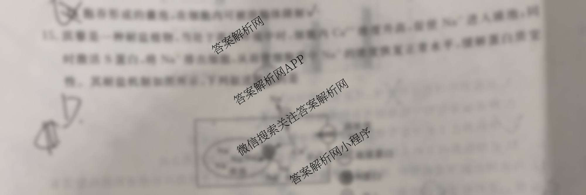 陕西省2025~2026第一学期12月质量检测高一(6192A)（含语文 地理 物理等）生物试题