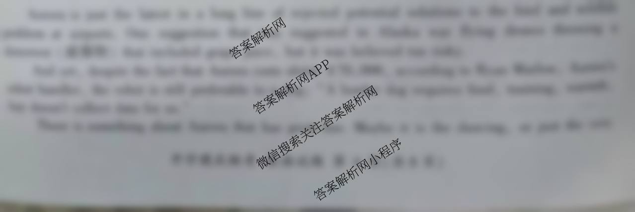 百师联盟2025届高三开学摸底联考各科答案及试卷（40科全）英语试题