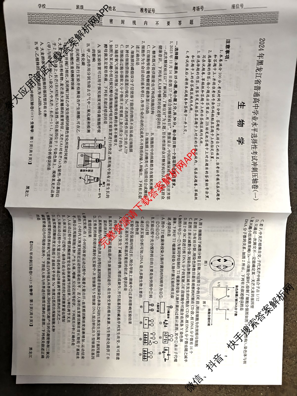 2024年黑龙江省普通高中学业水平选择性考试冲刺压轴卷(一)1生物(黑龙江)试题
