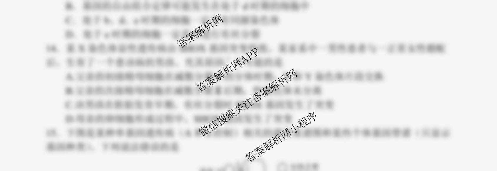 射洪中学高2023级高三上期期中考试试卷及答案汇总(已更新历史、地理、物理等9份)生物试题