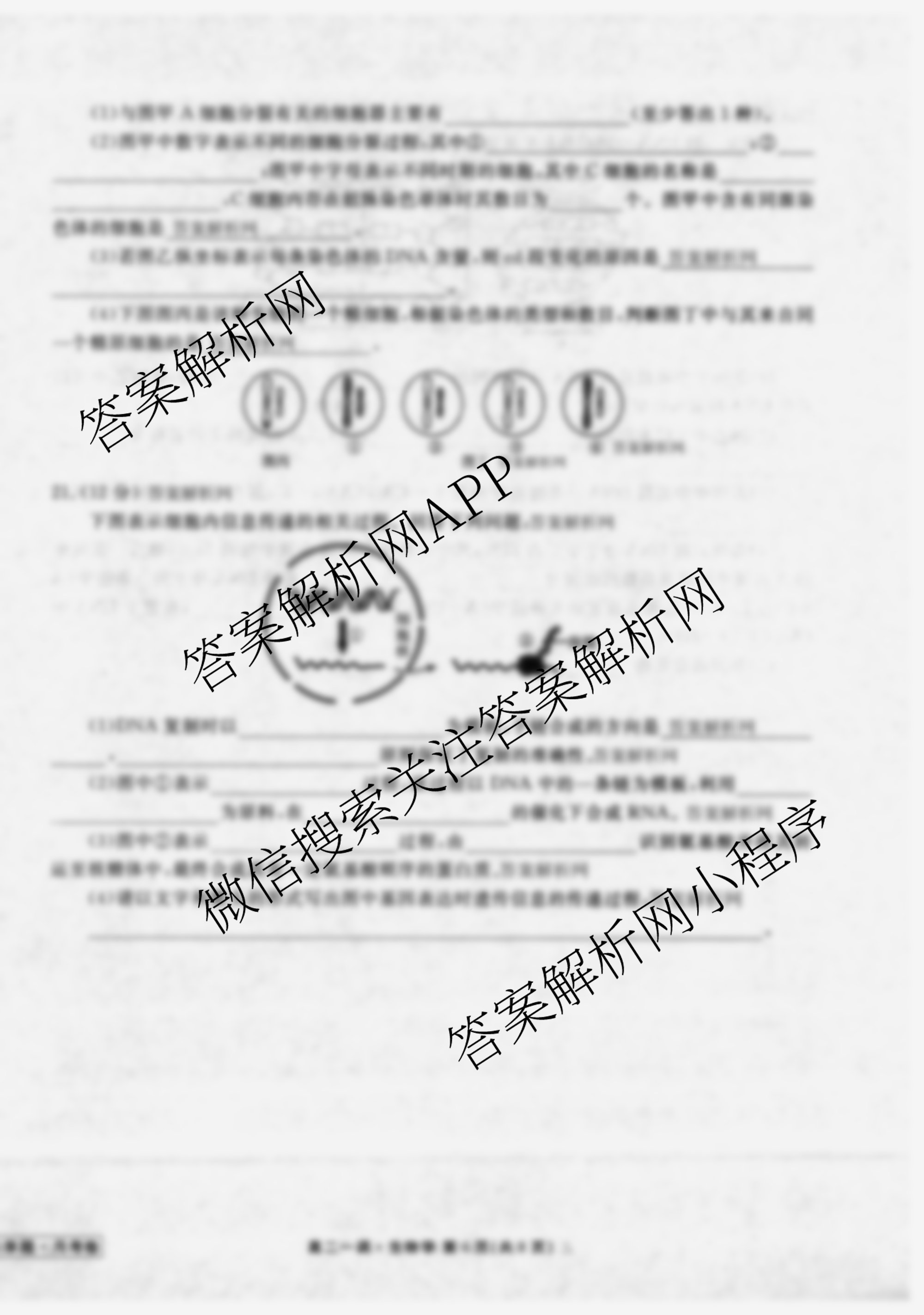 衡水金卷先享题月考卷2025-2026学年度上学期高二年级一调考试试卷及答案汇总（含物理、生物、数学(人教版)等）生物试题
