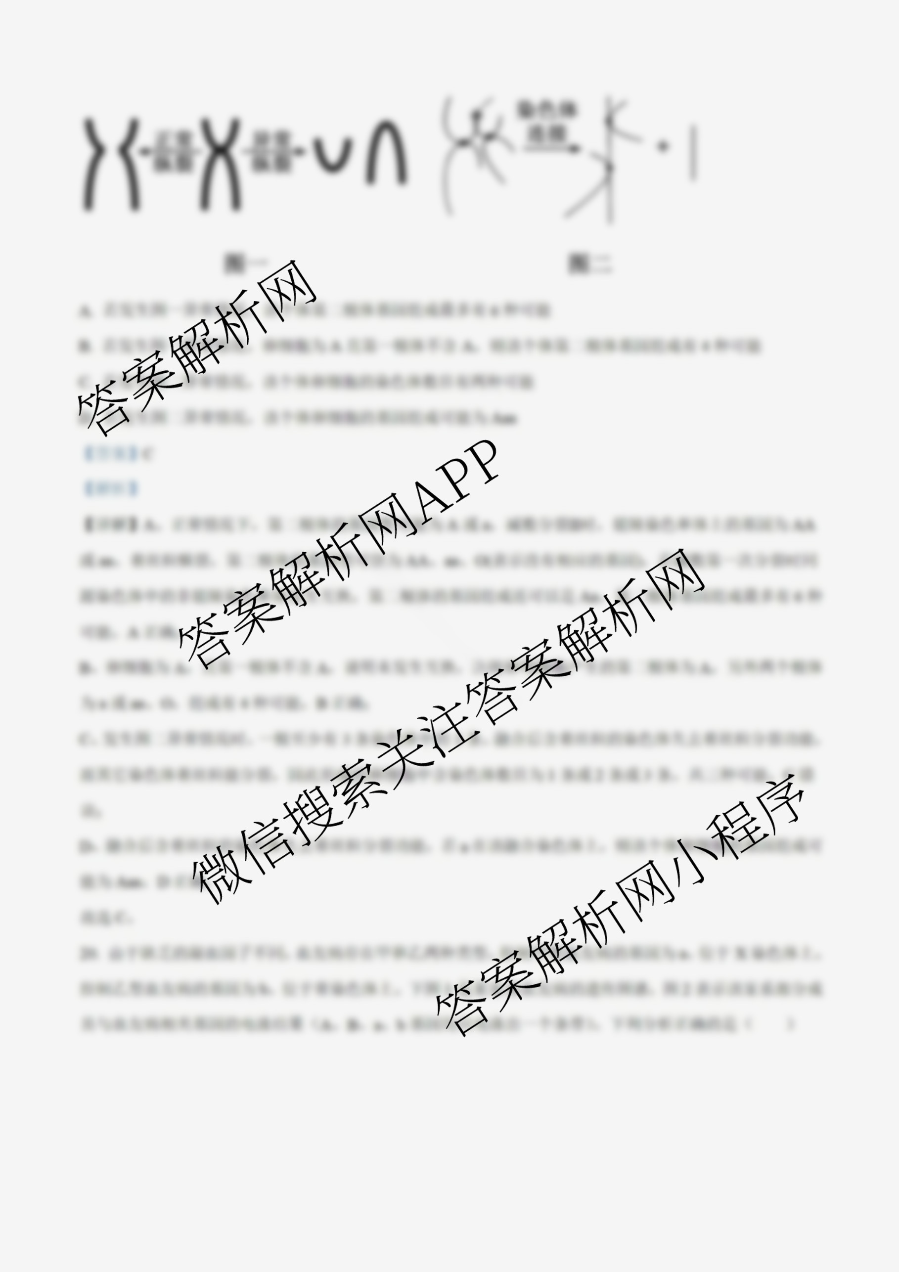 山东省实验中学2026届高三第一次诊断性考试(2025.10)各科答案及试卷: 含化学 历史 数学试卷解析生物答案