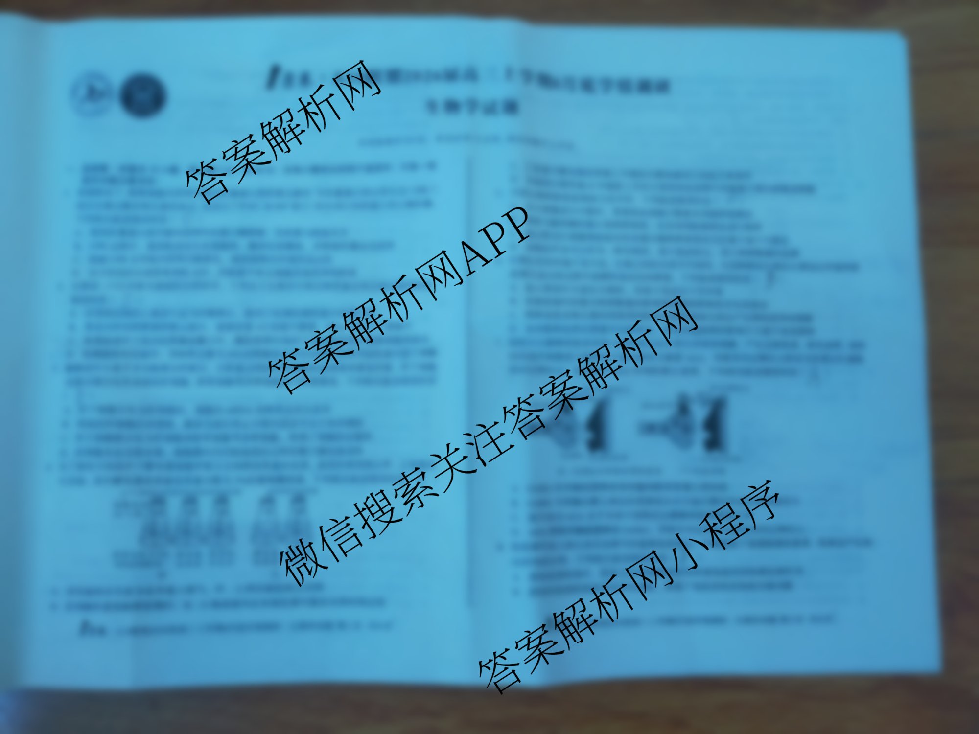 1号卷A10联盟2026届高三上学期8月底学情调研考各科答案及试卷（13科全）生物试题