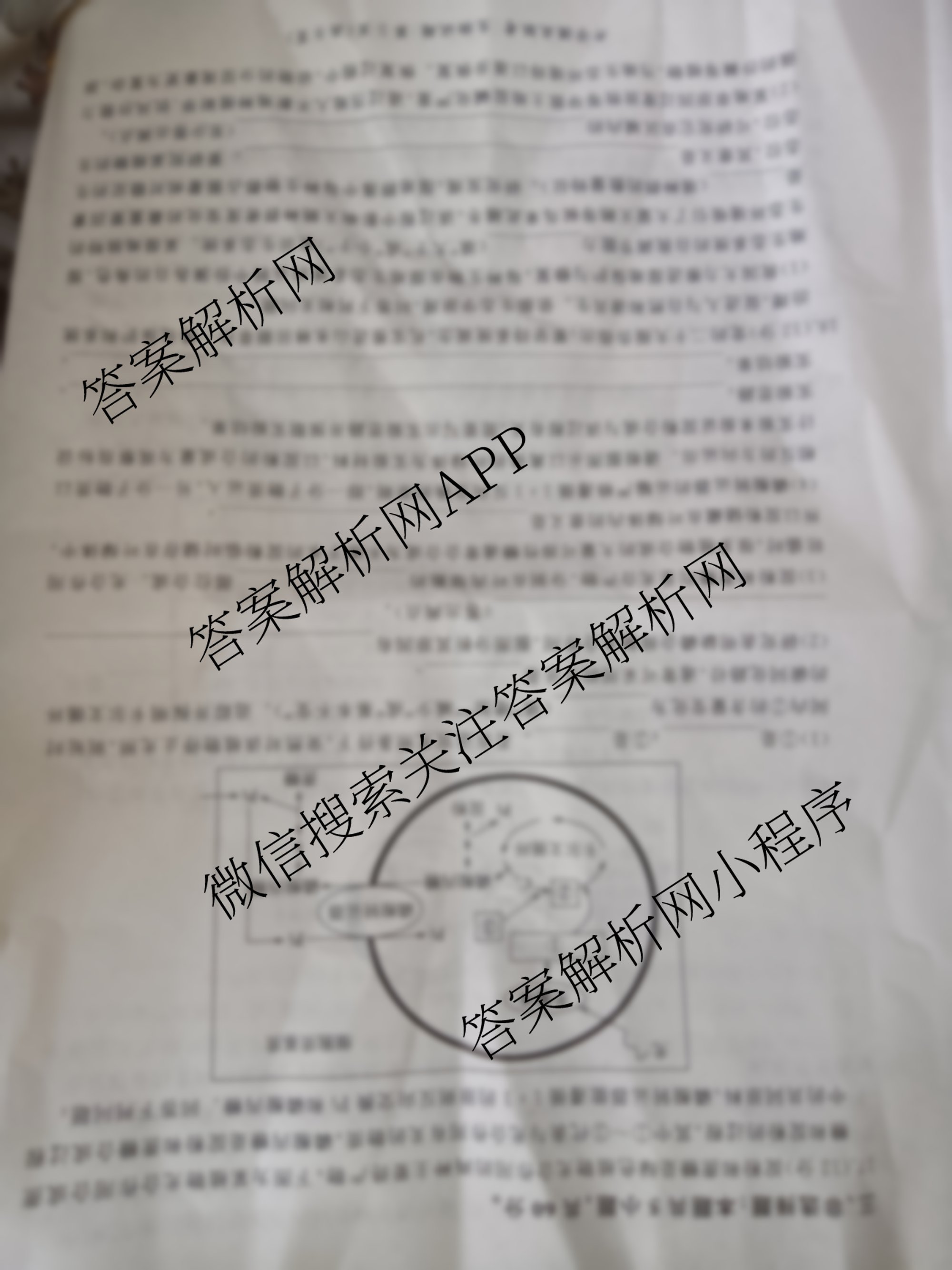 百师联盟2025届高三开学摸底联考各科答案及试卷（40科全）生物试题