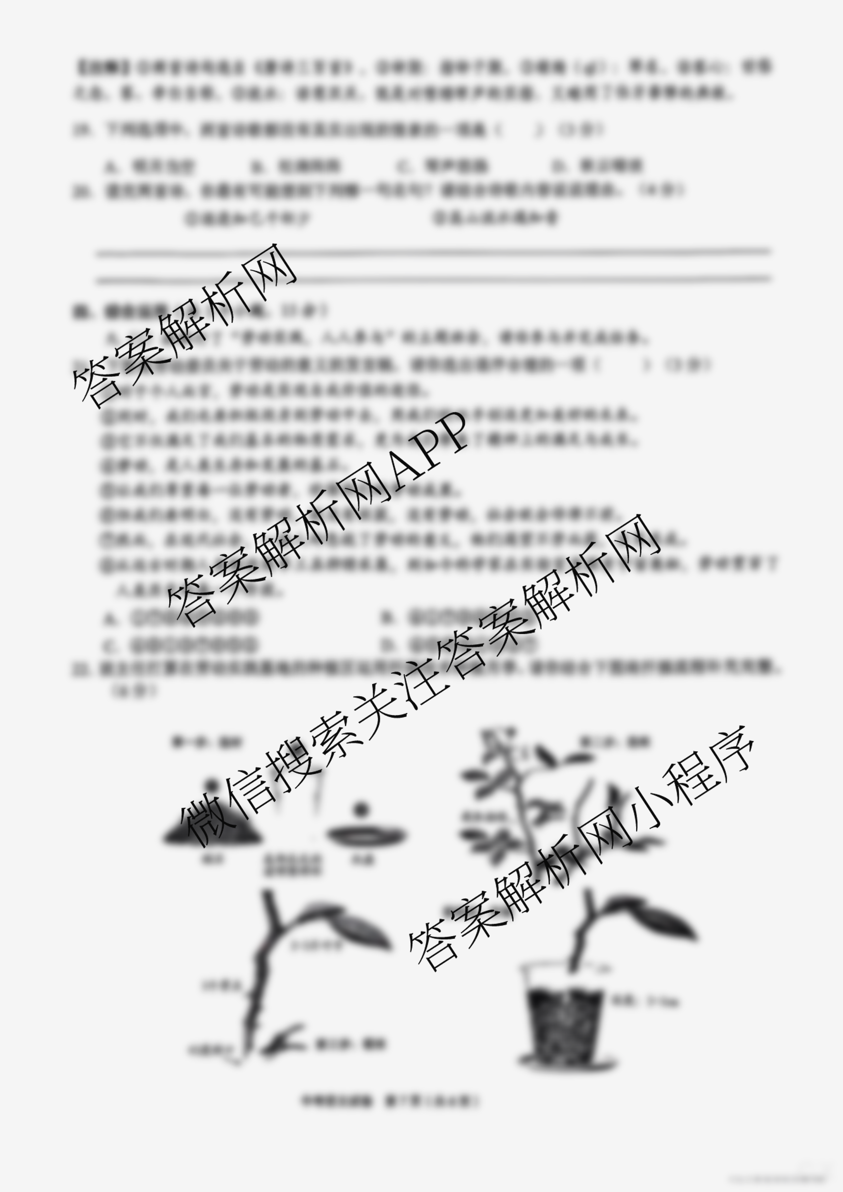 贵州省2025年中考县城适应性考试(6月)试卷及答案汇总（7科全）语文试题