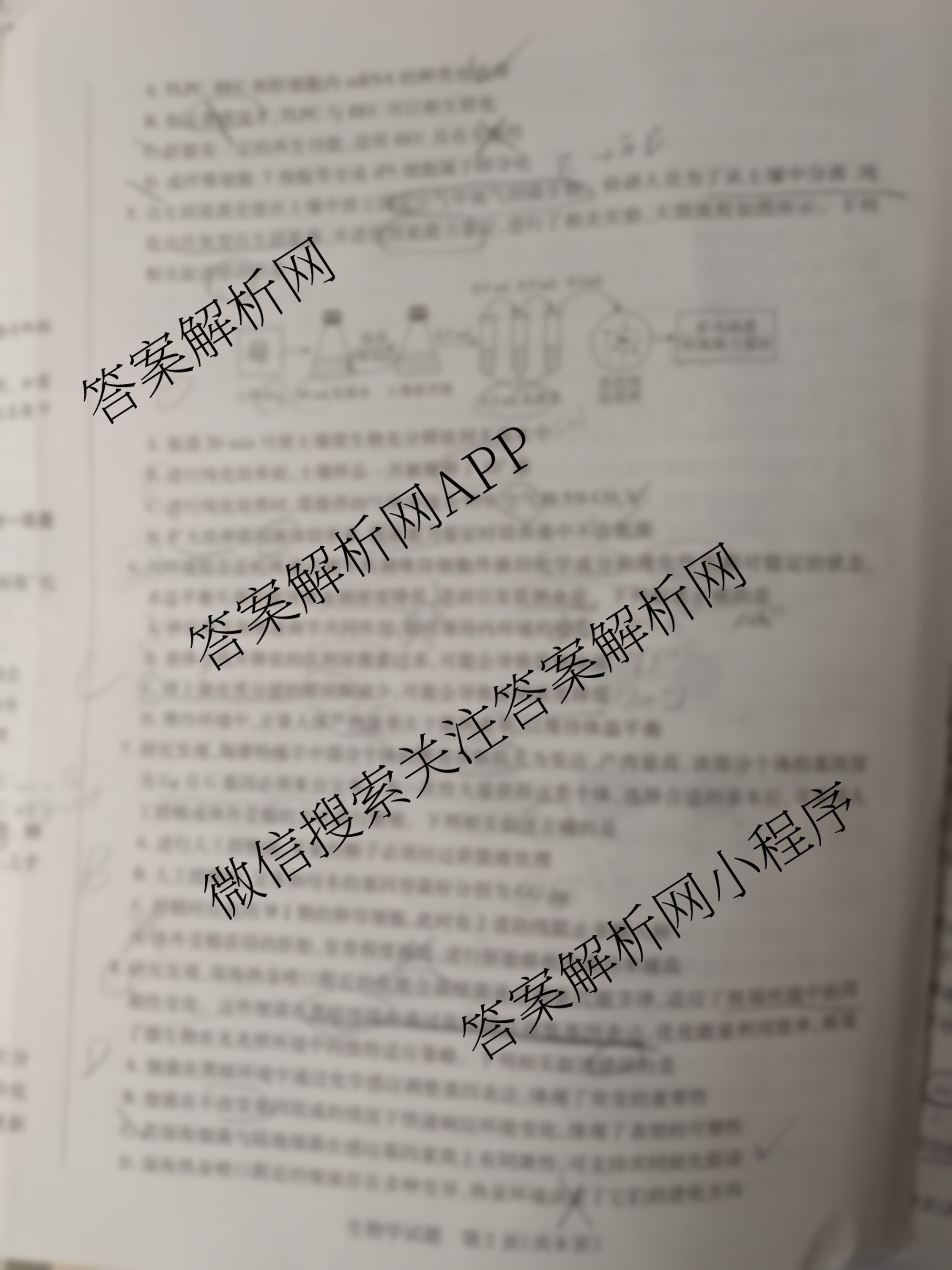 天一大联考2025年高三年级9月质量监测(已更新地理、语文、英语等10份)生物试题