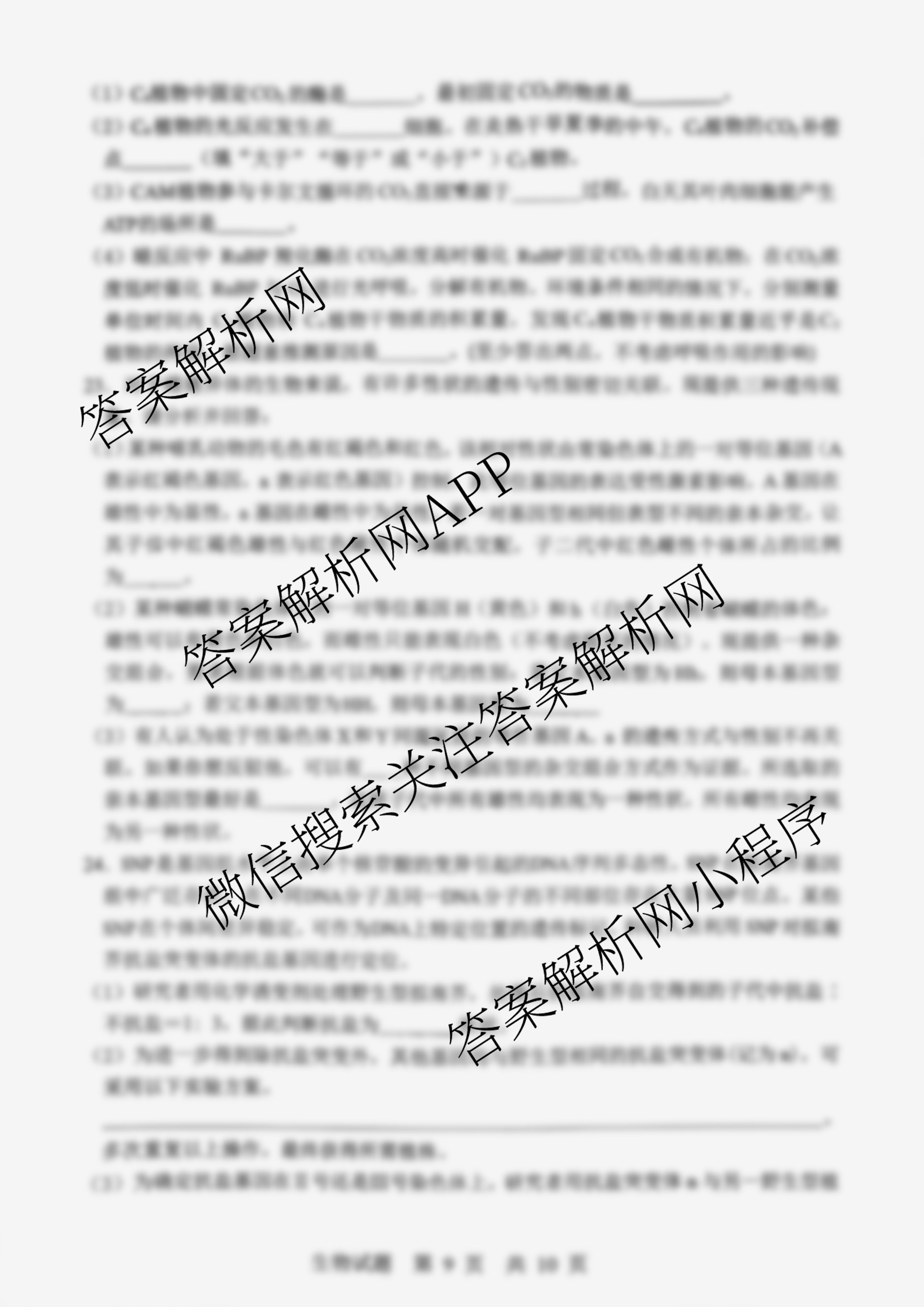 山东省实验中学2026届高三第一次诊断性考试(2025.10)各科答案及试卷: 含化学 历史 数学试卷解析生物试题