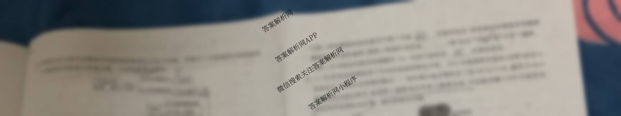 百师联盟2025-2026学年度高二10月联考(10.9)试卷及答案汇总（含历史(百A) 数学(百A) 政治(百A)等）生物试题