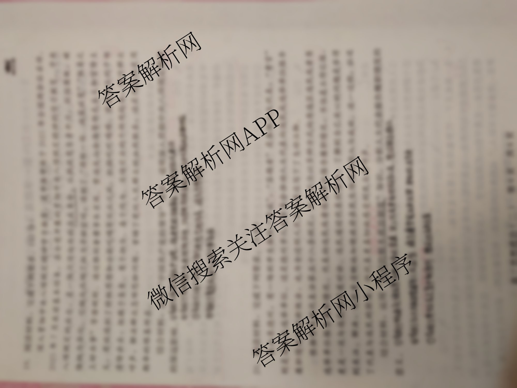 2025-2026学年NT20第一学期高三年级10月联考(二)（9科全）政治试题
