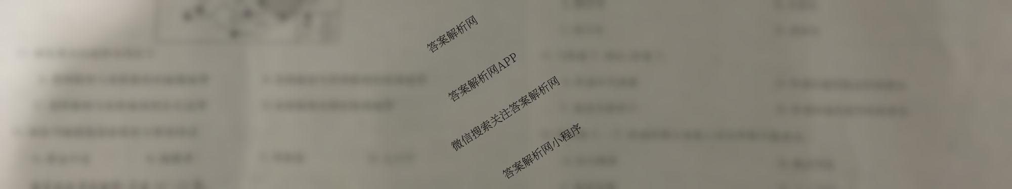 四市普通高中2024-2025学年度高二第一学期期中教学质量检测(25067B)（含政治、化学、英语等9份）地理试题